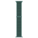 Nylon Sport Band Pine Green 42/44/45/49 мм