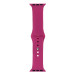 Силиконовый ремешок Sport Band для Apple Watch 38/40/41 Dragon Fruit